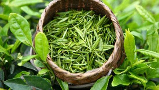 红茶绿茶保鲜的秘诀